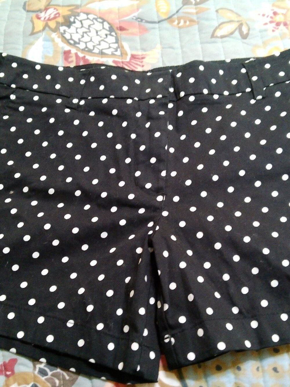 cynthia rowley BLACK POLKA DOT SHORTS SIZE 4 GOOD CONDITION